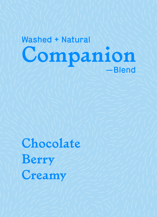 Little Wolf Coffee Companion Blend